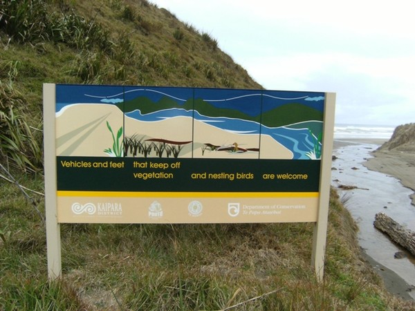 Signs like these are being erected on Ripiro beach to encourage more responsible behaviour